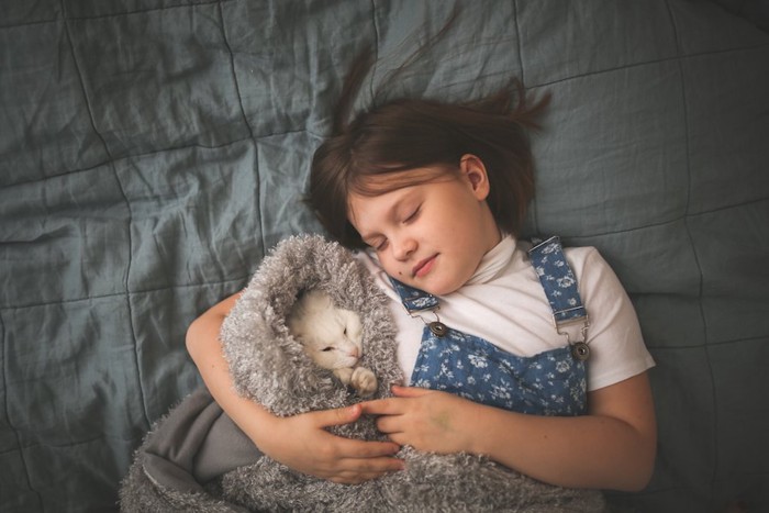 ブランケットに包まれて女の子と一緒に眠る子猫