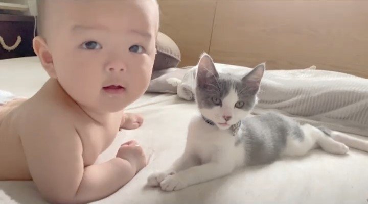 赤ちゃんと子猫