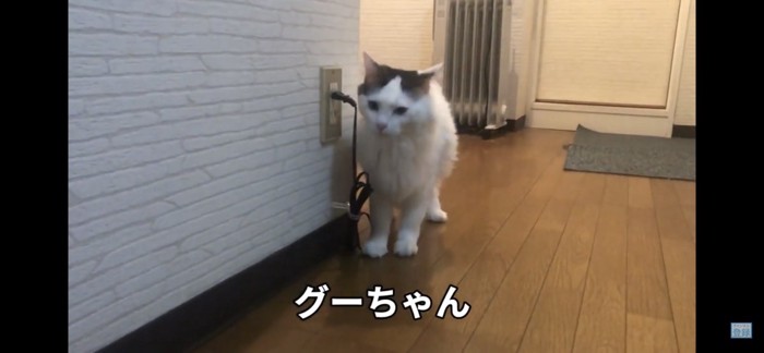 迷う