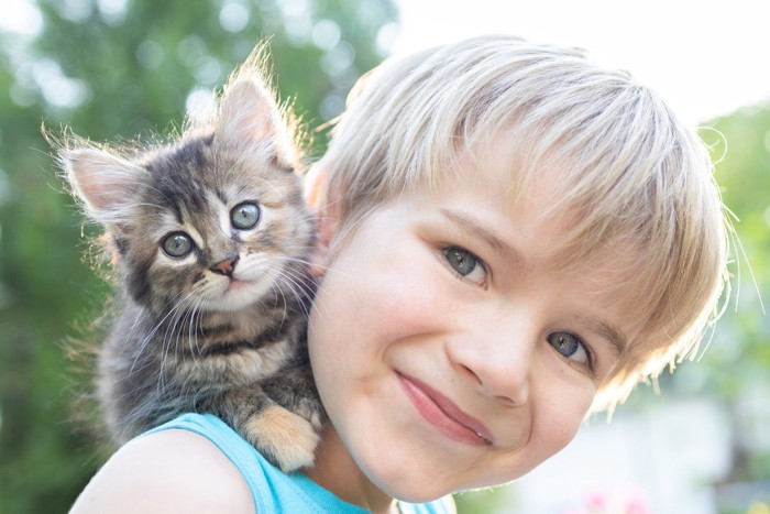 少年の肩に乗ってくる子猫