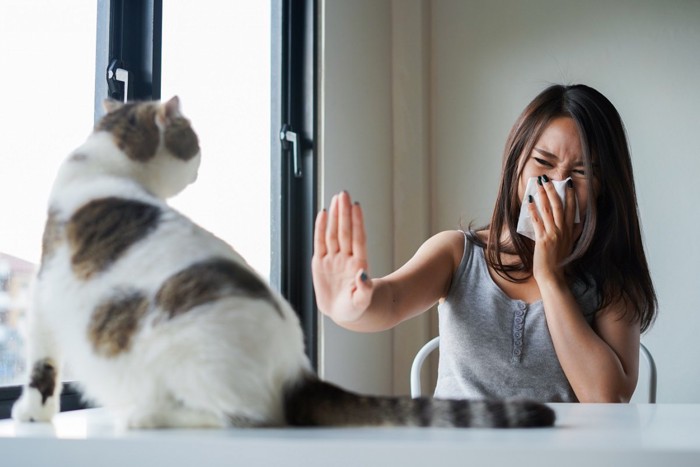 鼻をハンカチで抑える女性と猫