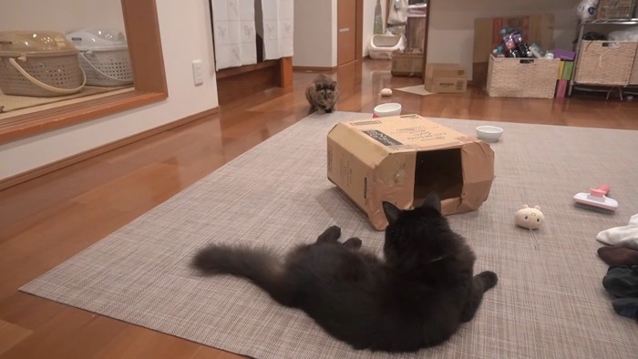 向き合うふたり