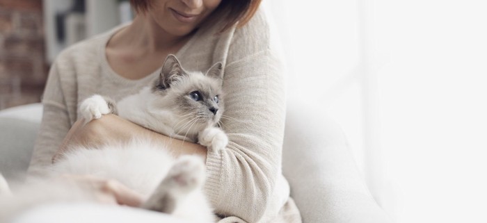 猫を抱っこする女性