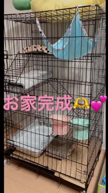 ケージ