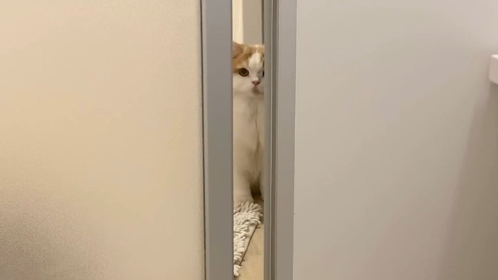奥から覗く姿