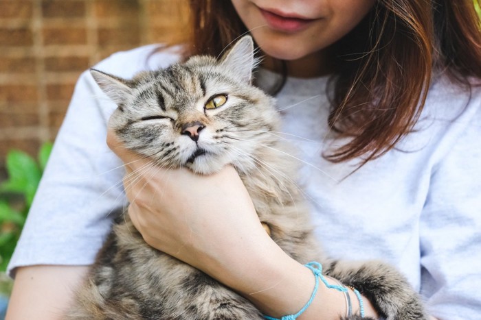 抱っこされて不満そうな猫