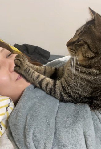 飼い主から離れない猫