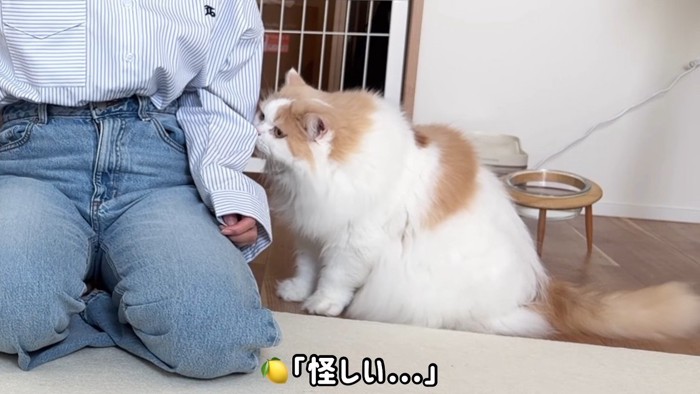 怪しい…