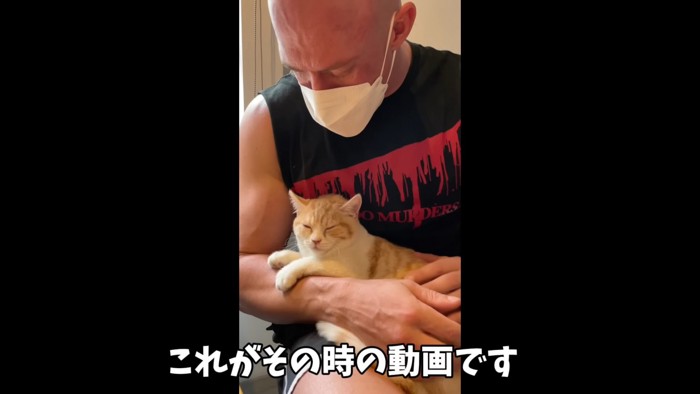 ひざの上に乗る猫