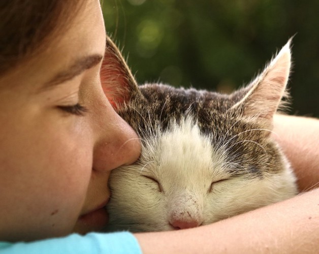 人と顔をつけて目をつぶる猫