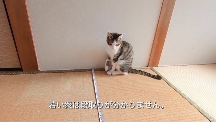 テロップ「若い衆は～」