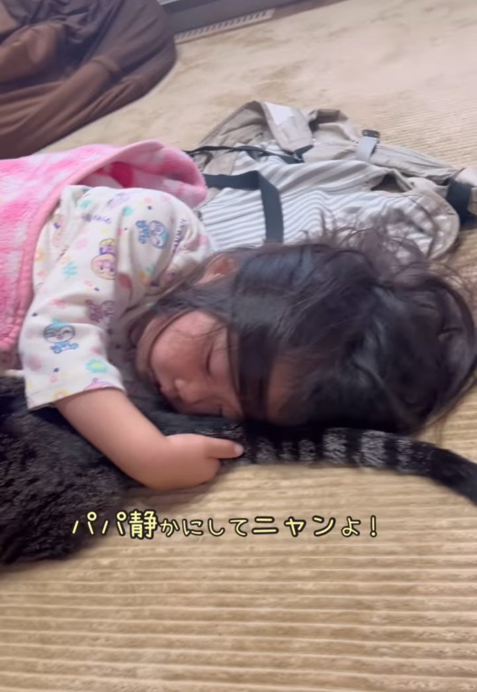 猫を抱えて眠る女の子