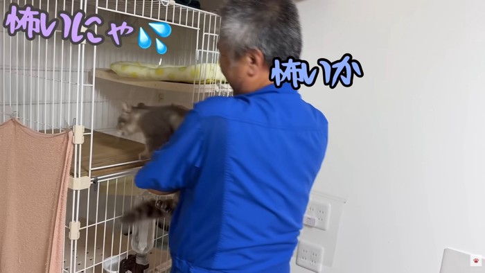 テロップ「怖いにゃ」「怖いか」