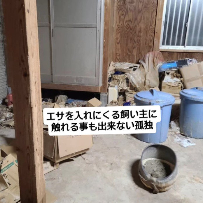 ゴミがたくさんある部屋