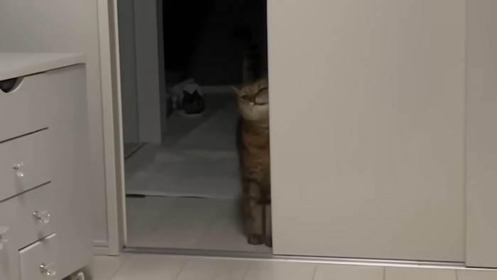 ドアにスリスリ