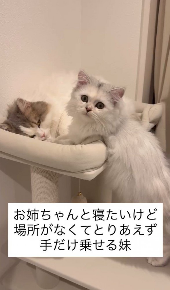 文字の書かれた画像