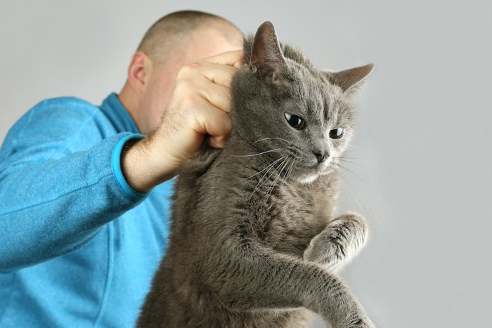 無理やり猫の首根っこを掴む男性