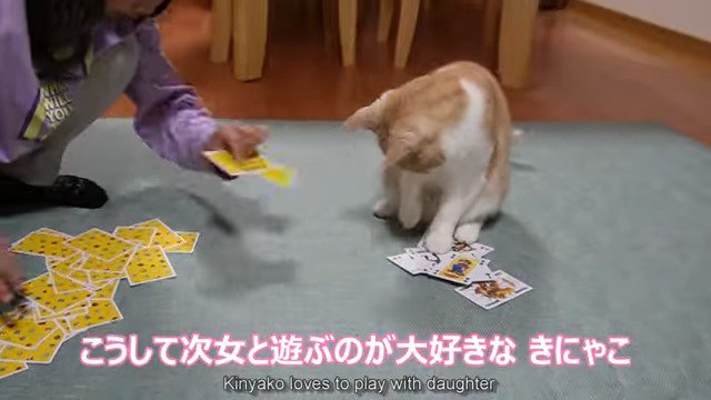 トランプを持つ少女と猫