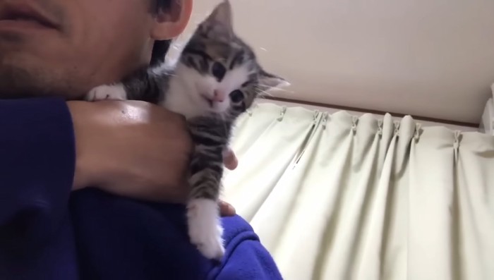 肩乗り