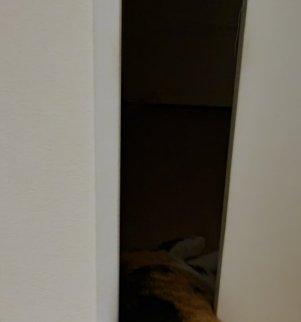 ドアの隙間