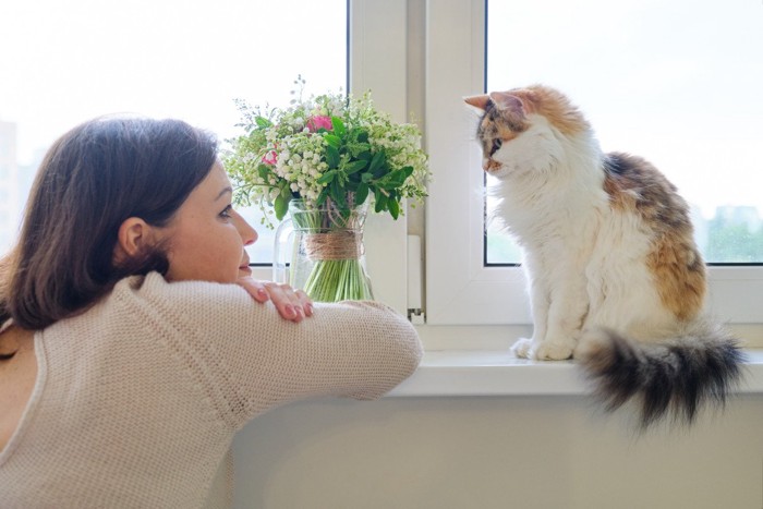 女性と見つめあう猫