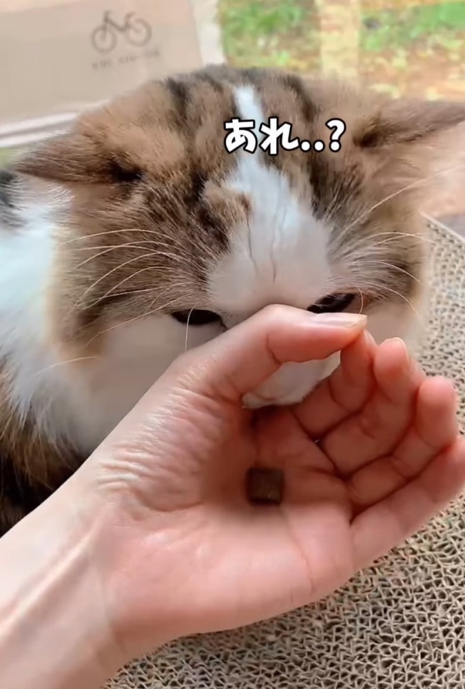 輪っかに口を入れる