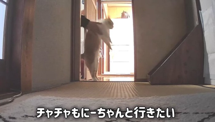にーちゃんと行きたい