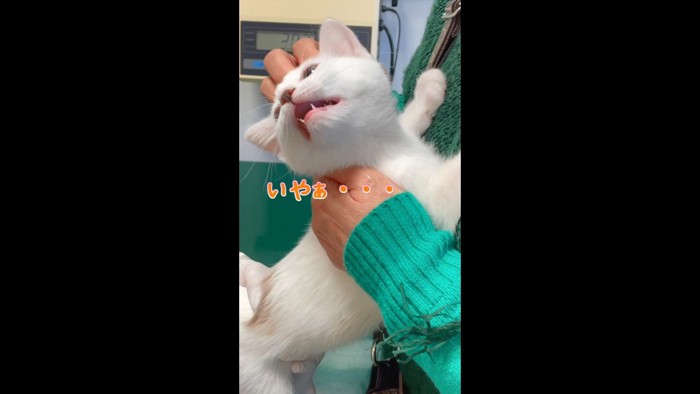いやぁ…