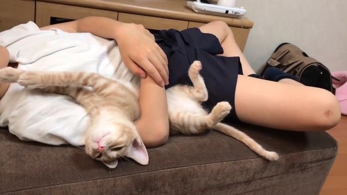 へそ天(薄っすら目を開けて)