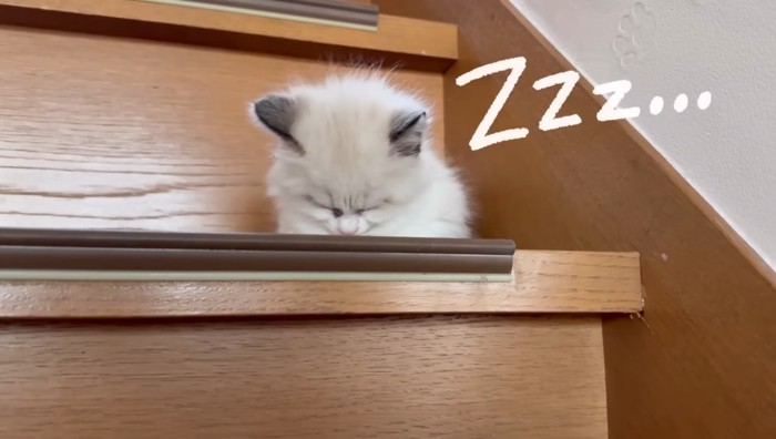 Zzz