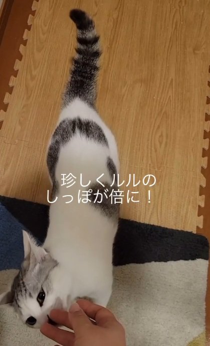 気づいた