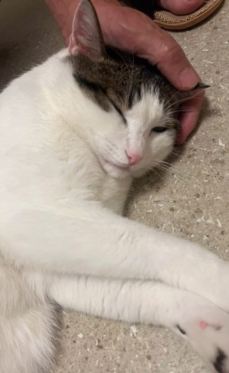 眠そう