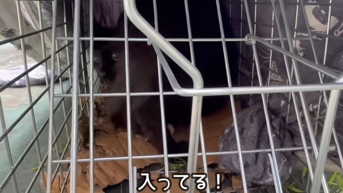「入ってる!」