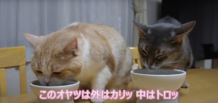 食べる二匹1