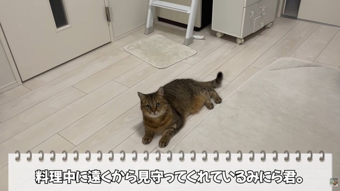 テロップ「料理中に~」
