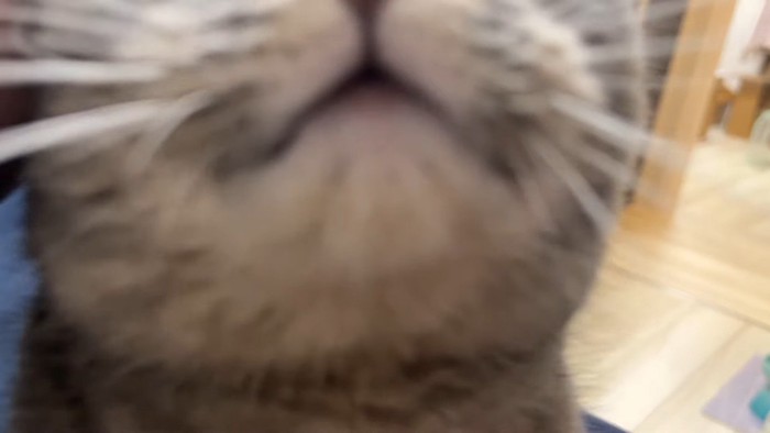 ドアップ