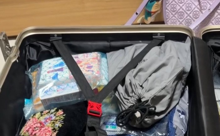 キャリーバッグの中に整列された荷物