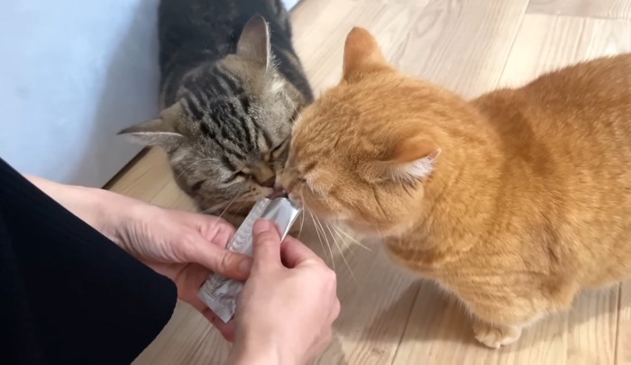 おやつ