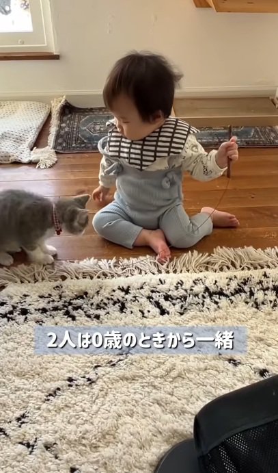 赤ちゃんと一緒に遊ぶ子猫