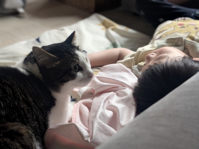 眠っている男の子の近くに座る猫