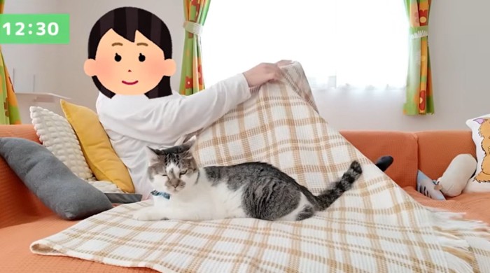 ソファで女性の隣に座っている猫