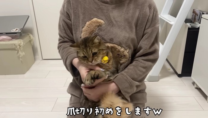 飼い主さんに抱っこされるみにらくん
