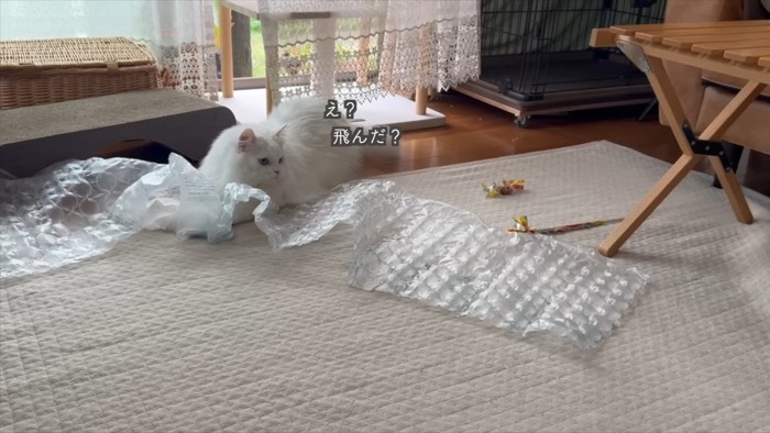 ん？飛んだ？