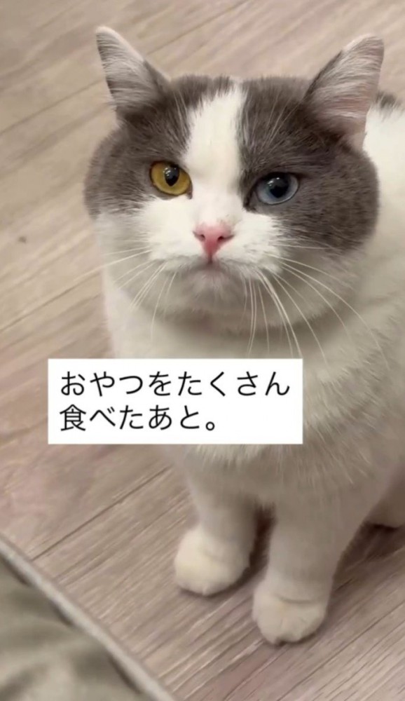 「おやつをたくさん食べたあと」と書かれている