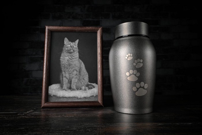 猫の写真と骨壺