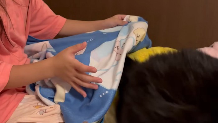 クッションを下りる猫ちゃん(画面左下)