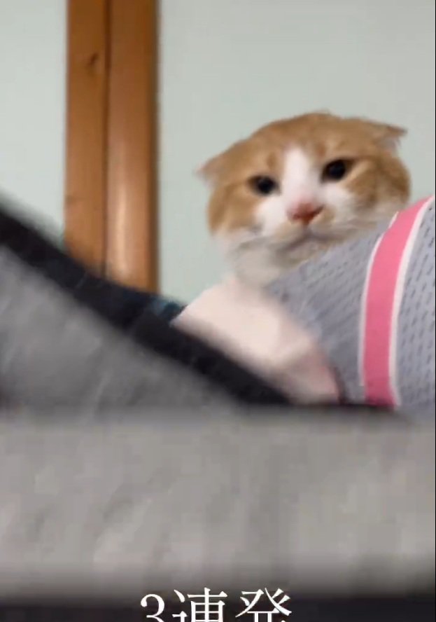 スンッとした表情をするひかりちゃん