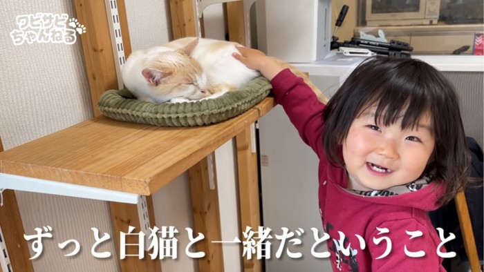 子供に撫でられる猫