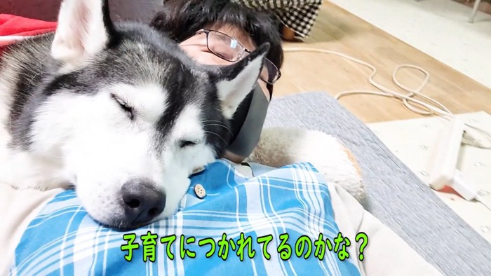 人にくっつく犬