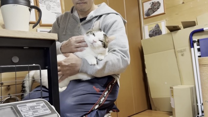 膝の上でくつろぐ猫の写真3